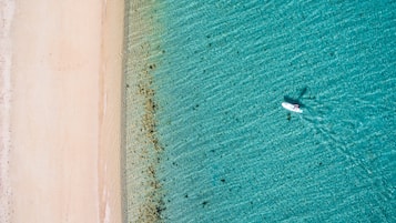 Playa privada, arena blanca, sombrillas, toallas de playa