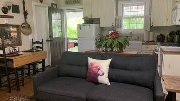 Smart TV, fireplace, DVD player, books