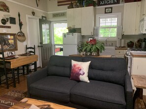 TV connectée, cheminée, lecteur de DVD, livres