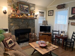 Smart TV, fireplace, DVD player, books