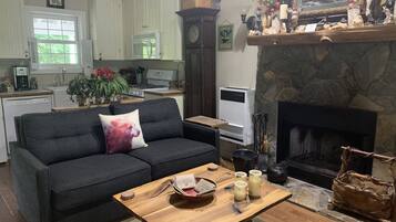 智能電視、壁爐、DVD 播放機、書籍