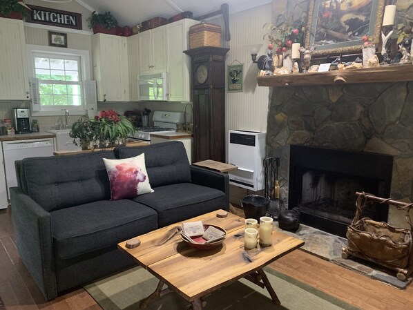 TV connectée, cheminée, lecteur de DVD, livres