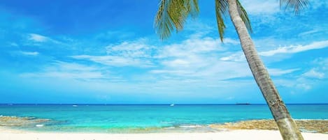 Am Strand