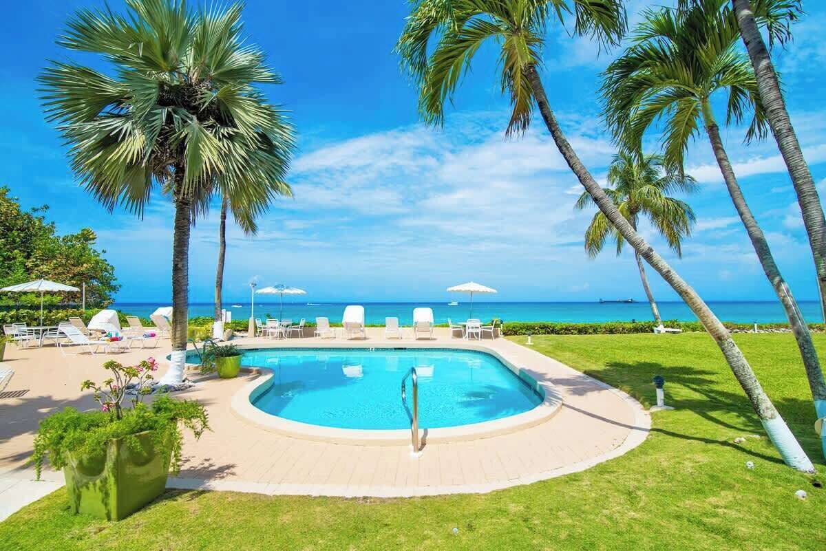 Un espace piscine avec des chaises longues, des palmiers et une vue sur l’océan.
