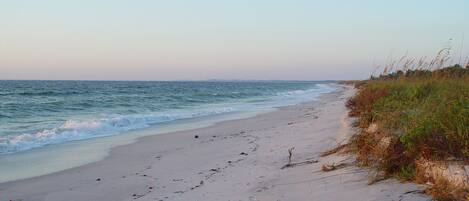 بالقرب من الشاطئ، كراسي للتشمس، مناشف للشاطئ