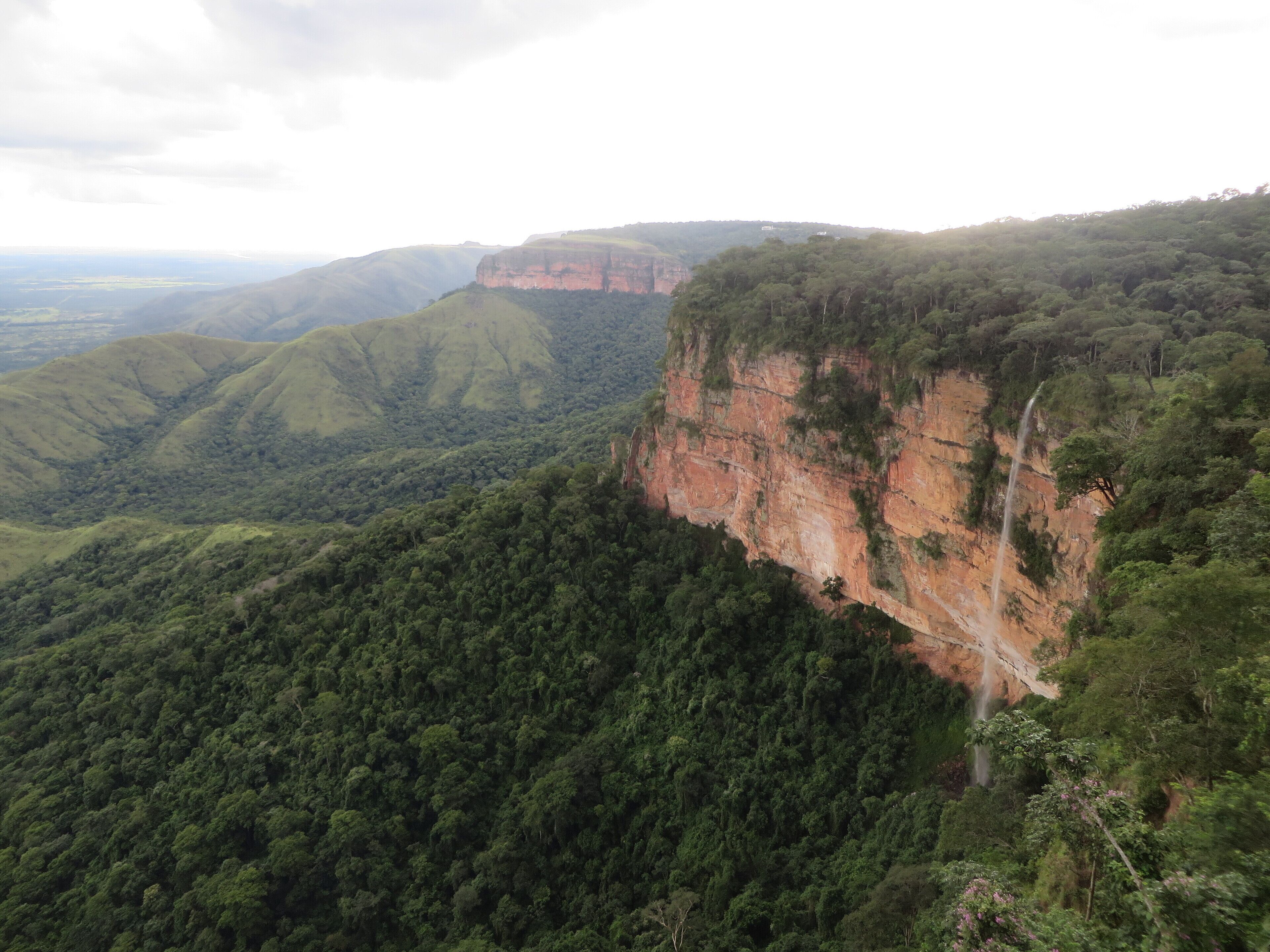 Paisaje montañoso con un acantilado imponente y un bosque denso.