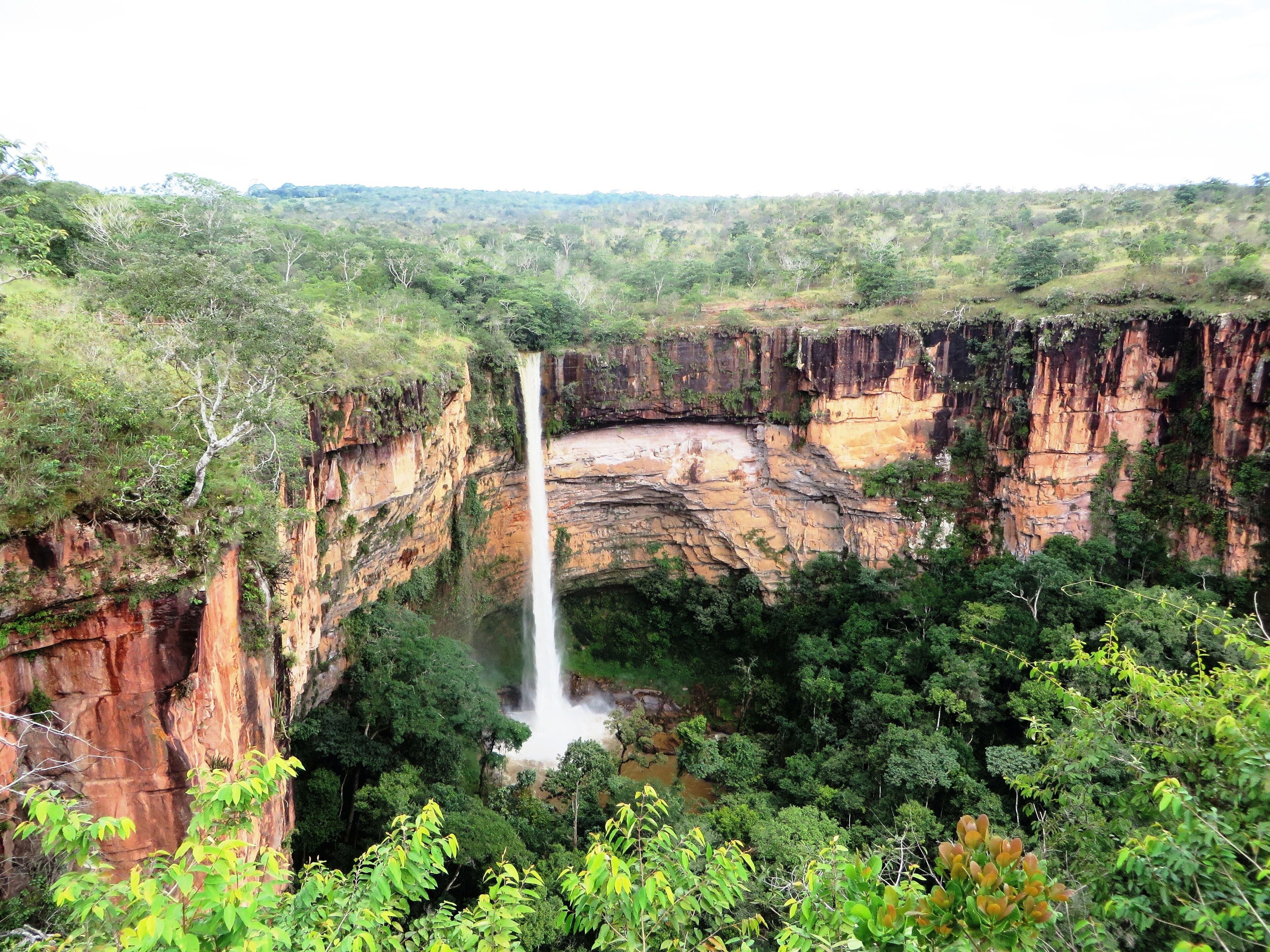 A waterfall cascading down a rocky cliff surrounded by dense greenery.