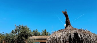 Finca privada , wifi, piscina privada, barbacoa, 13 minutos de la playa