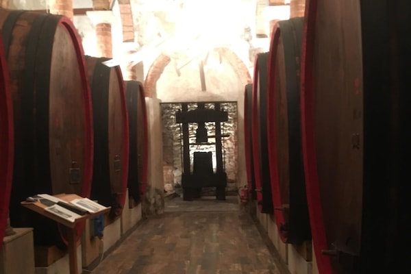 A CELLAR in CHIANTI