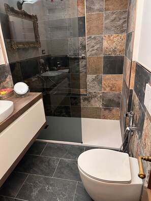 Combined shower/tub, hair dryer, bidet, towels