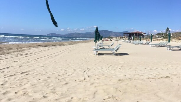 A beach with sun loungers and umbrellas, a building in the background, and the ocean.