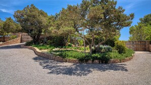 A landscaped garden with a gravel path, stone border, and various shrubs and trees.