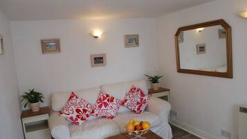 电视、DVD 播放器、书、音乐库