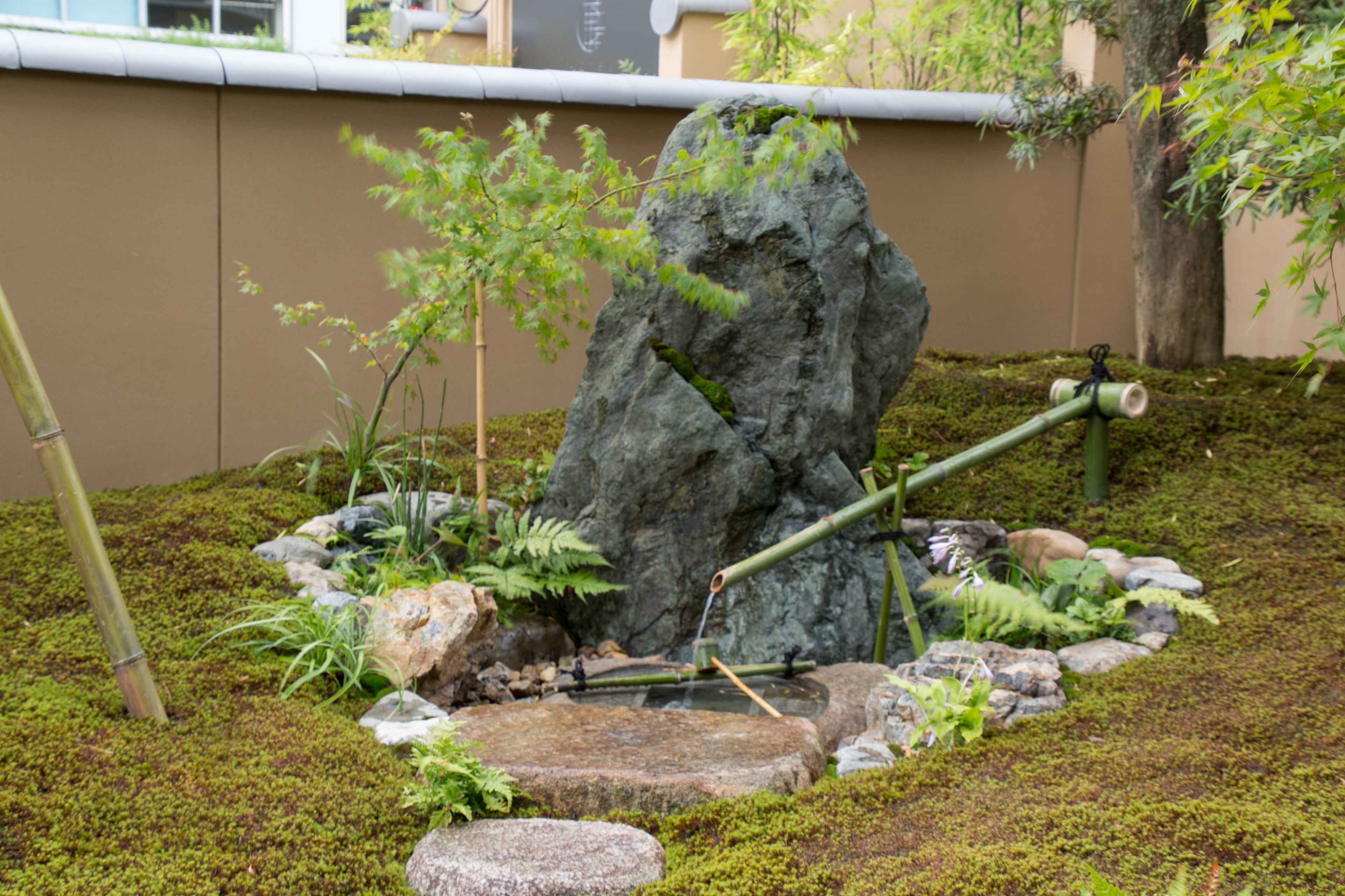 Jardín de rocas con fuente de agua, rodeado de musgo y diversas plantas.