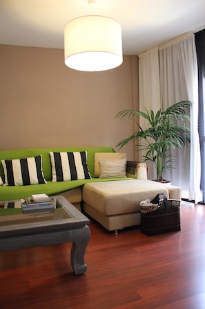 Smart TV, DVD player, books, video library