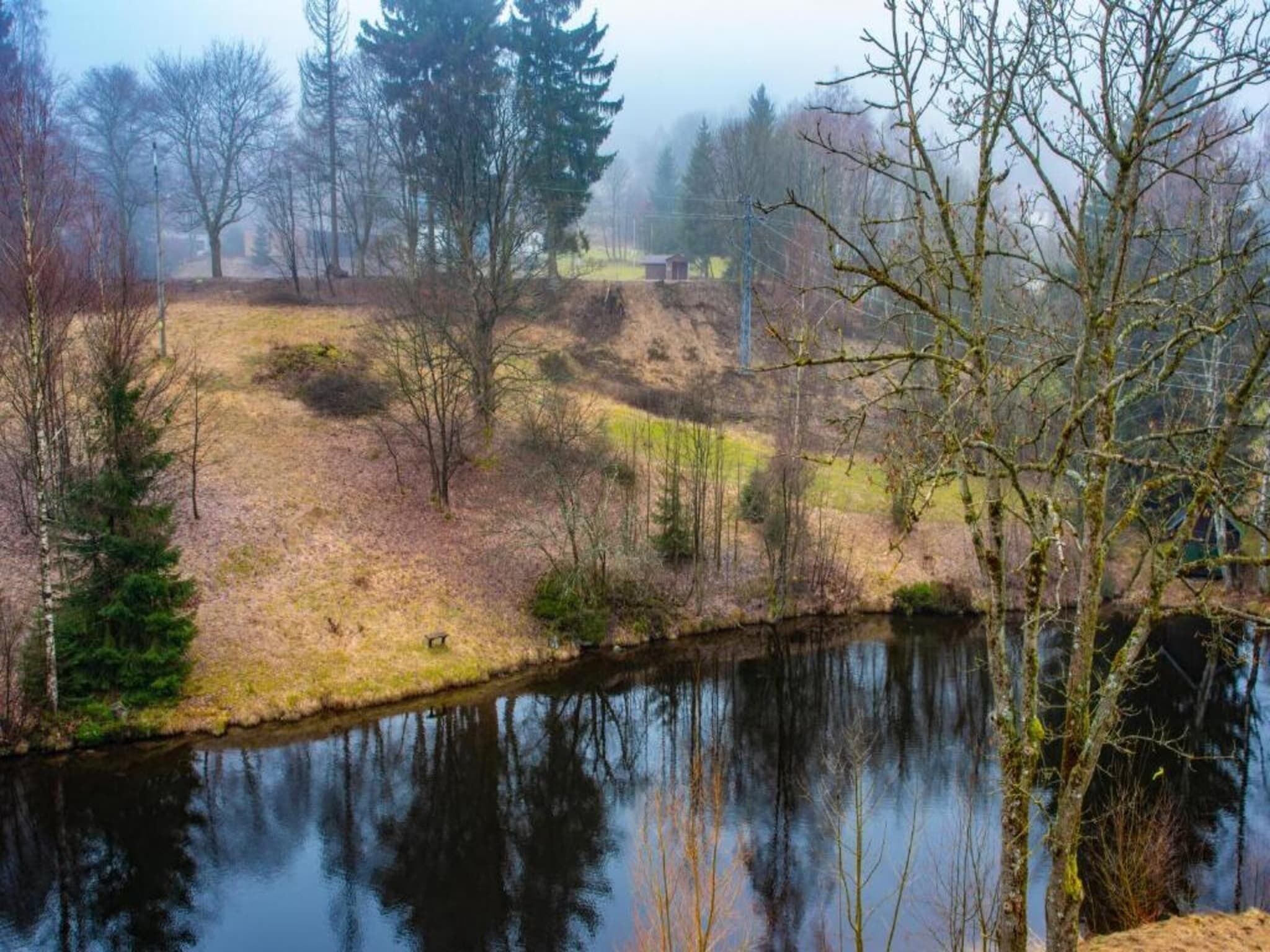 Eine friedliche Landschaft mit ruhigem Gewässer, das Bäume und eine Wiese spiegelt.