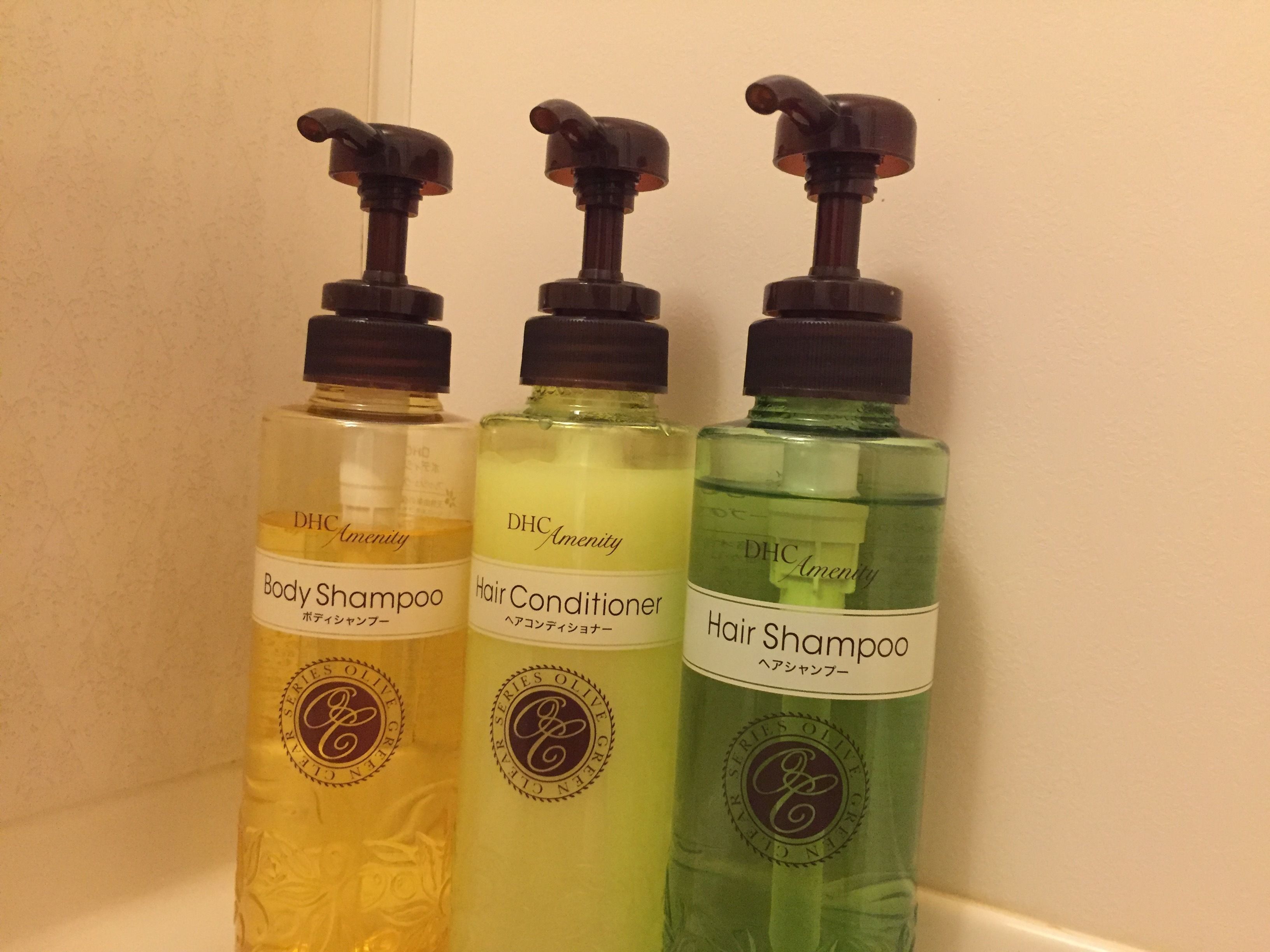 combined shower/bathtub, free toiletries, hair dryer, slippers