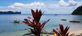 Golden Monkey Cottages