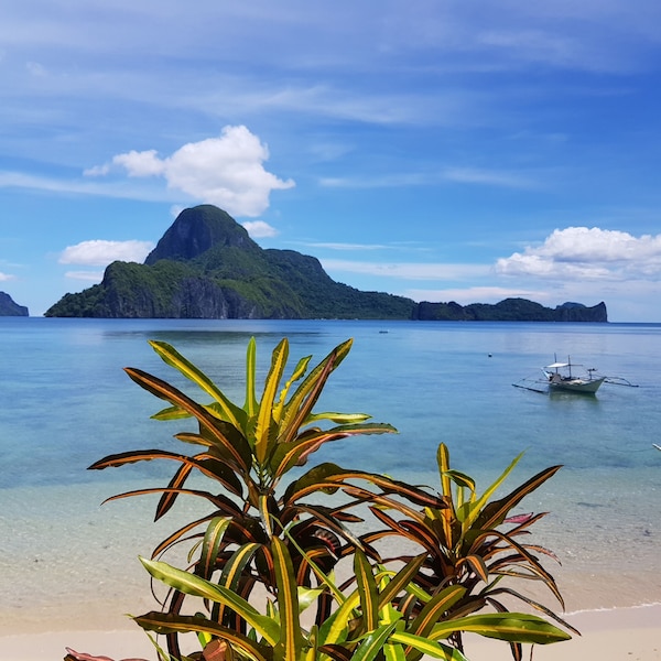 Golden Monkey Cottages - El Nido, Philippines