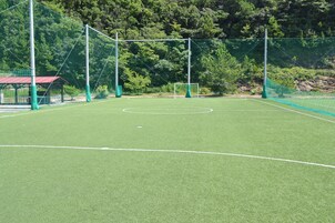 Un campo de fútbol con porterías y una red, rodeado por una valla y árboles.