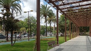 Une promenade piétonne abritée, dotée de bancs, de palmiers et d’une piste cyclable.