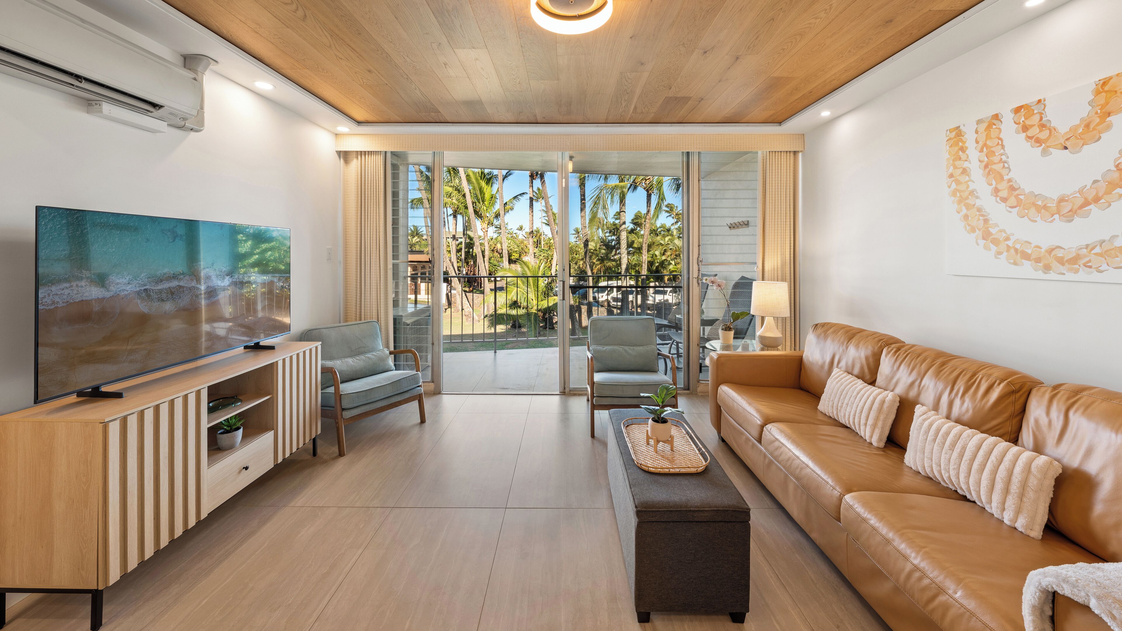 Smart TV, DVD player, books