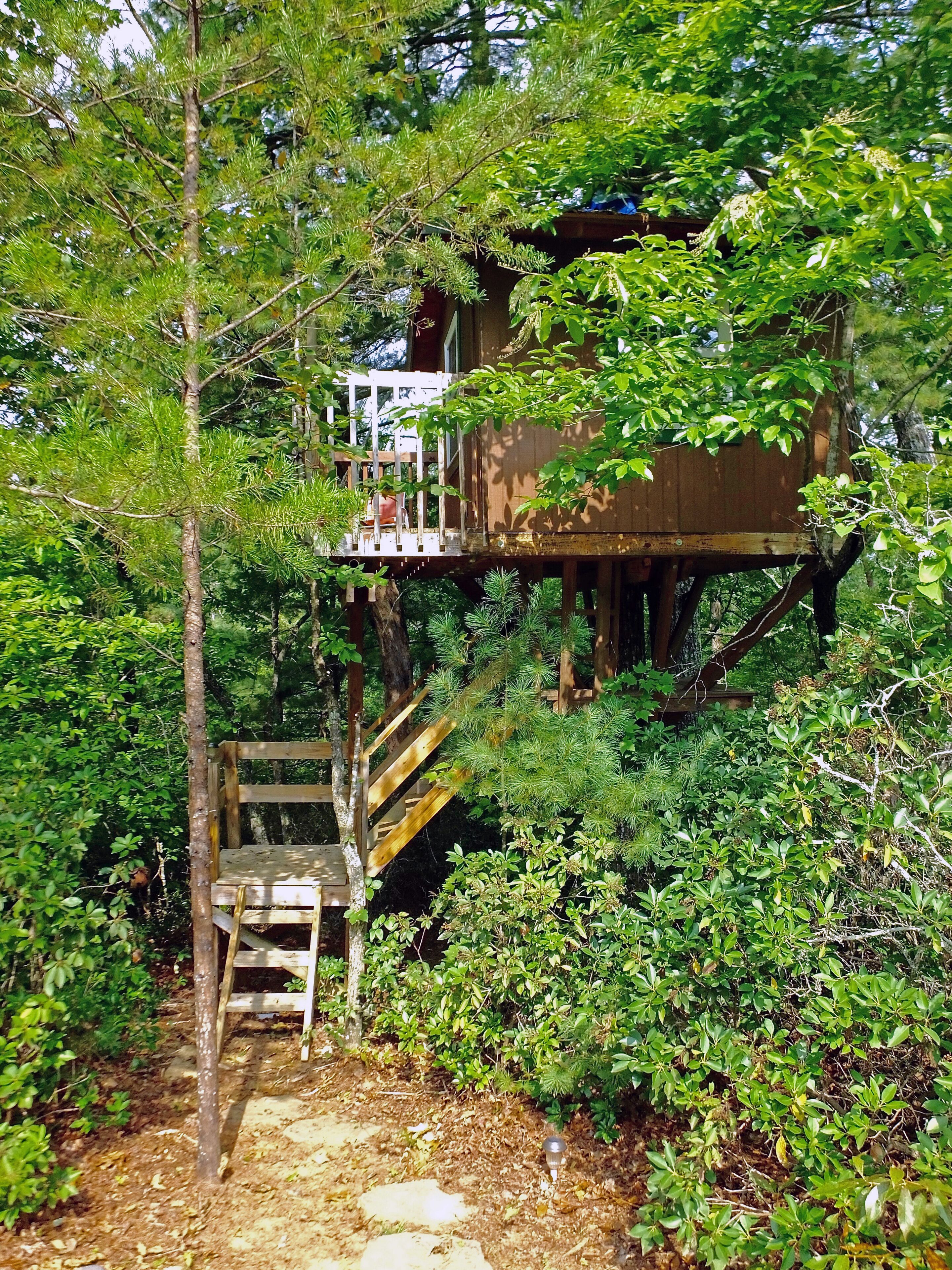 A wooden treehouse with a wooden staircase leading up to it, surrounded by dense greenery.