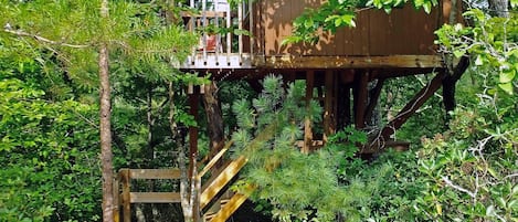 A wooden treehouse with a wooden staircase leading up to it, surrounded by dense greenery.