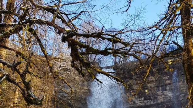 Una cascada se precipita sobre rocas cubiertas de musgo, rodeada de árboles desnudos y un muro de piedra.