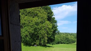 Una ventana con vista a un campo verde y árboles.