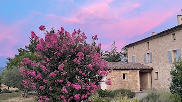 Un bâtiment en pierre avec une allée en gravier et un arbre en fleurs devant.