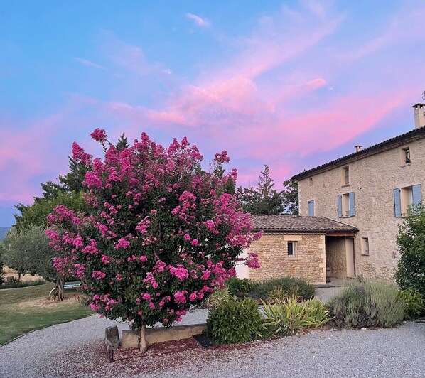 A stone building with a gravel driveway and a flowering tree in front.