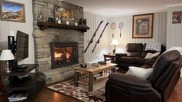 TV connectée, cheminée, lecteur de DVD, livres