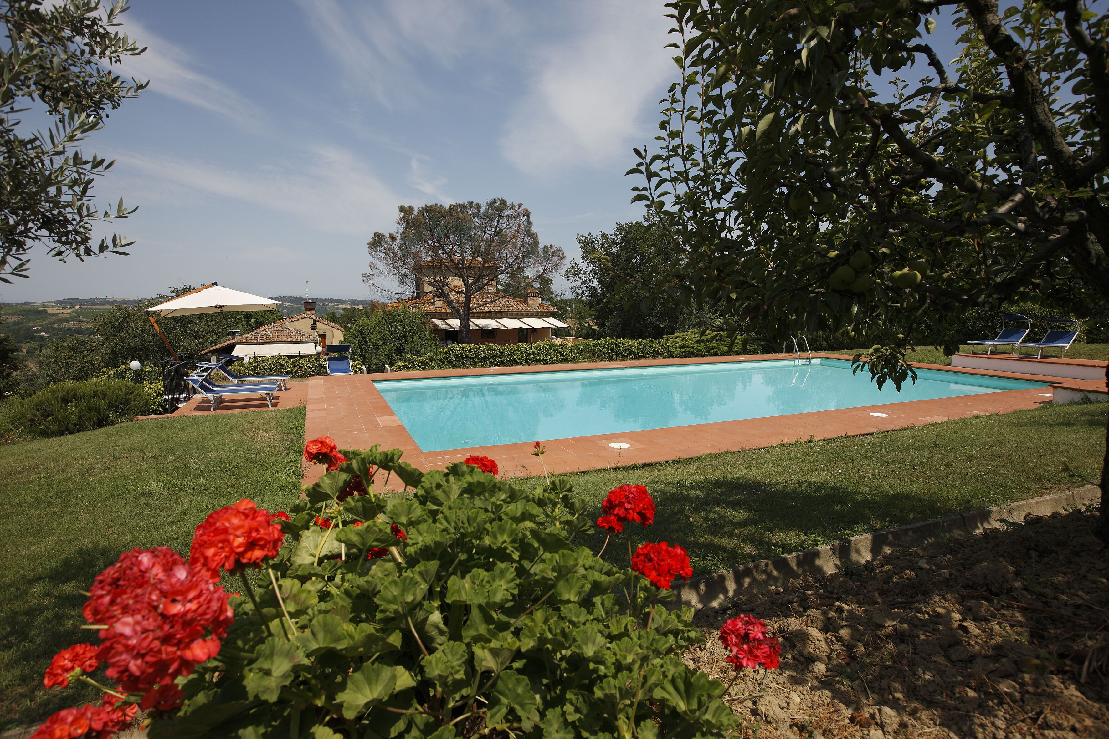 Ein Swimmingpool mit blauem Himmel, umgeben von viel Grün und vereinzelten roten Blüten.