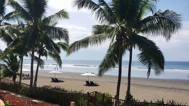 Vista de una playa con palmeras, piscina y sillas de descanso.