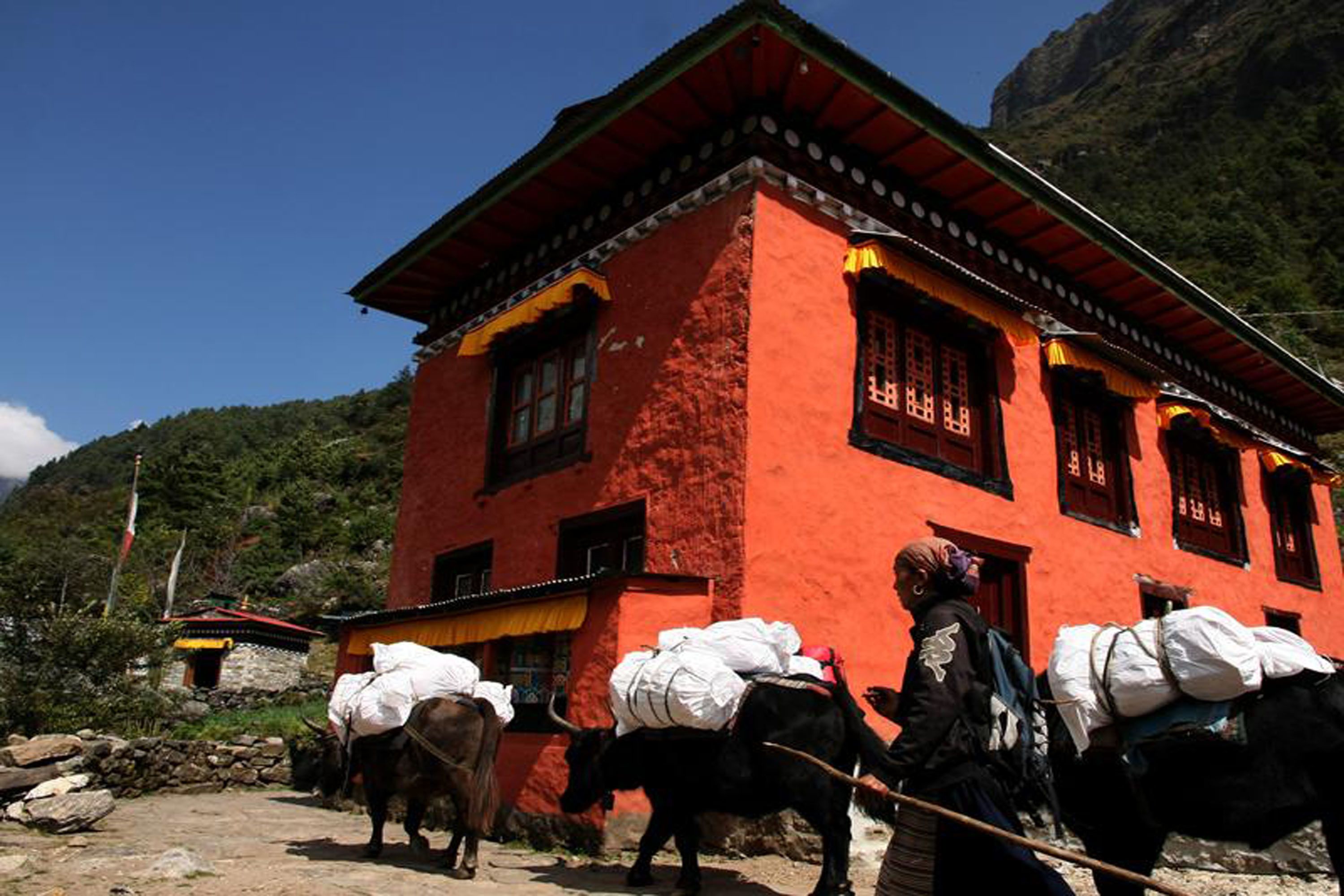 A red building with traditional architecture, a stone pathway, and two animals with loads.