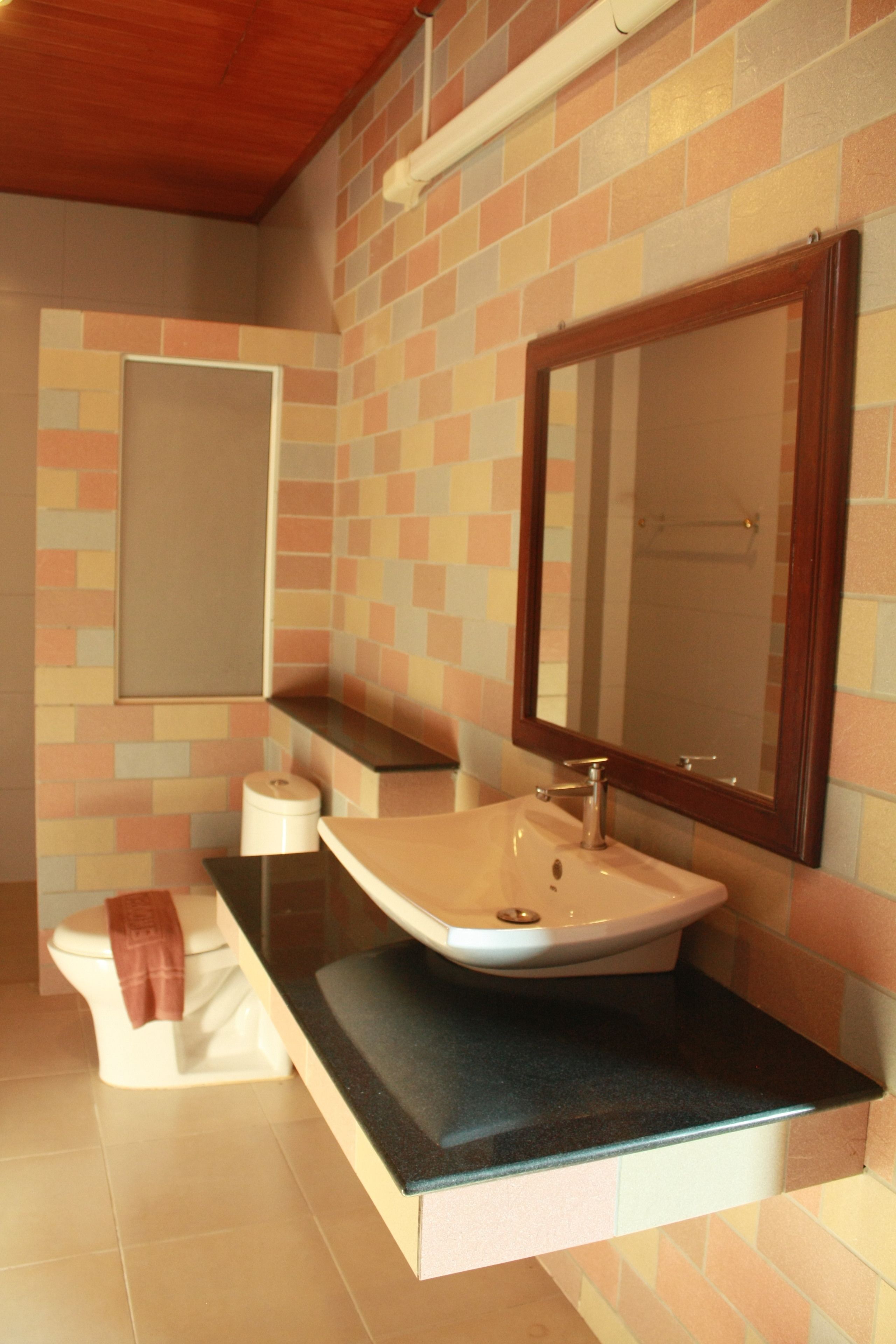 A bathroom with a sink, mirror, and toilet.