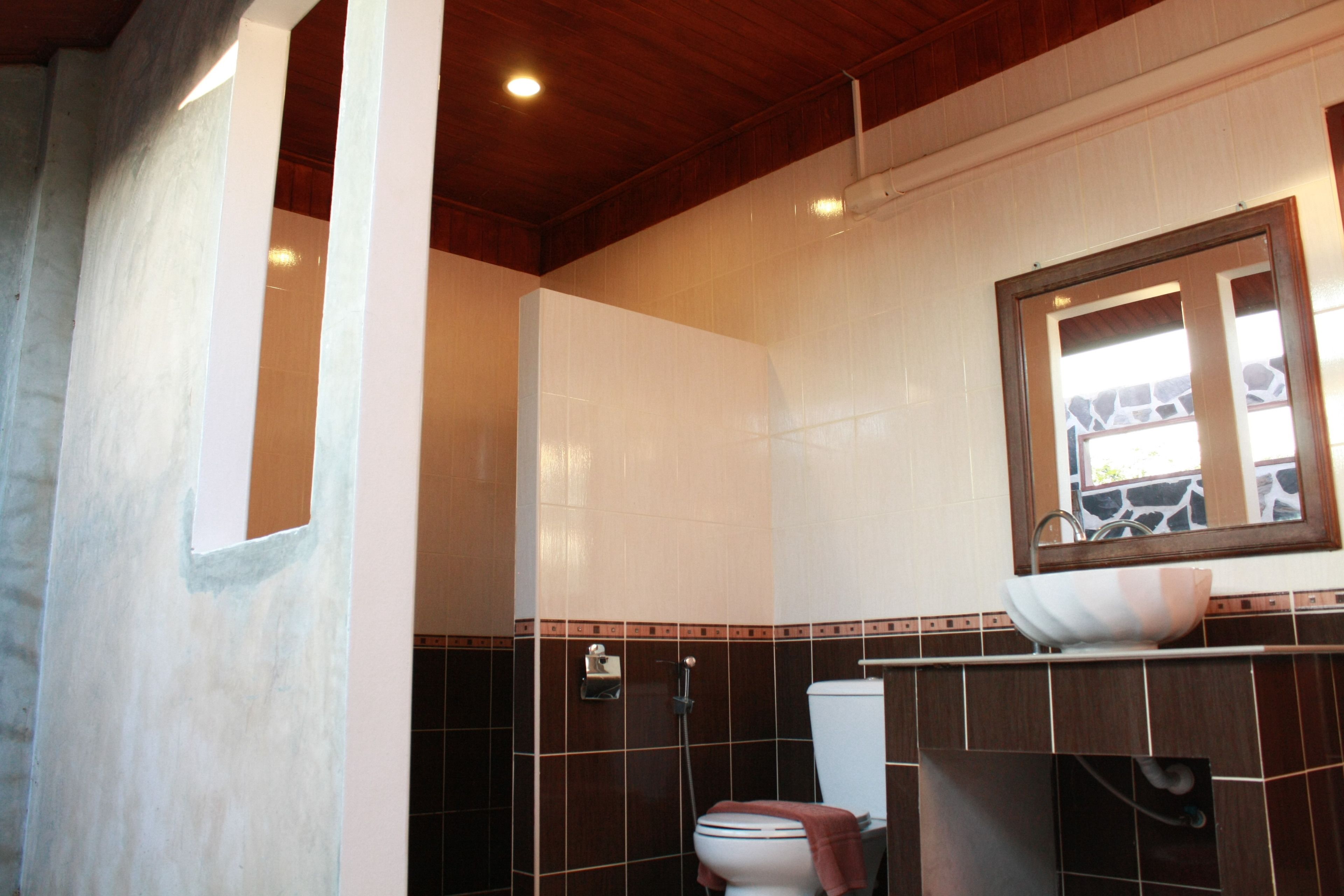 A bathroom with a white toilet, a large mirror, and a vessel sink.
