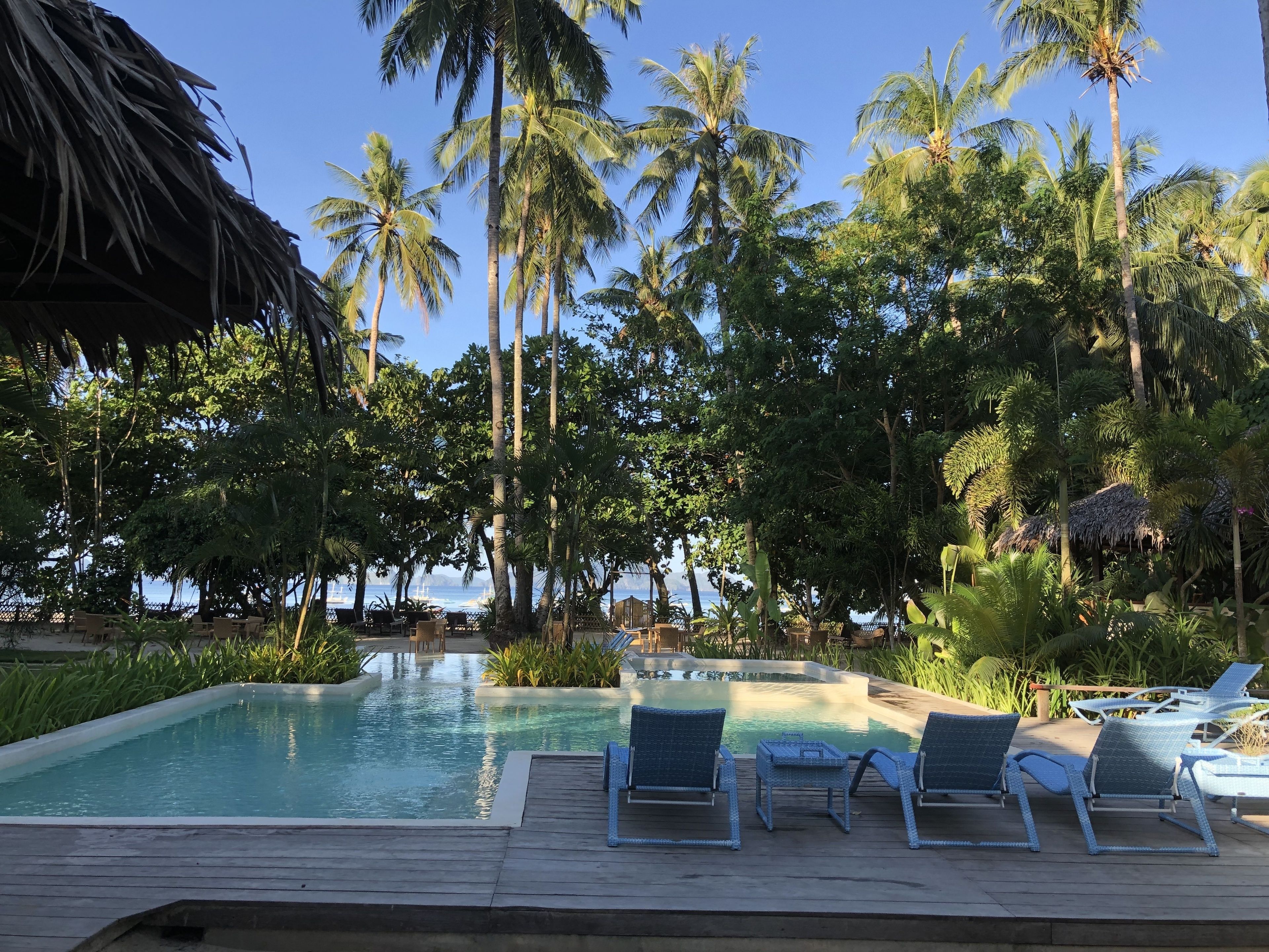 A pool area with lounge chairs and palm trees.