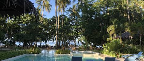 A pool area with lounge chairs and palm trees.