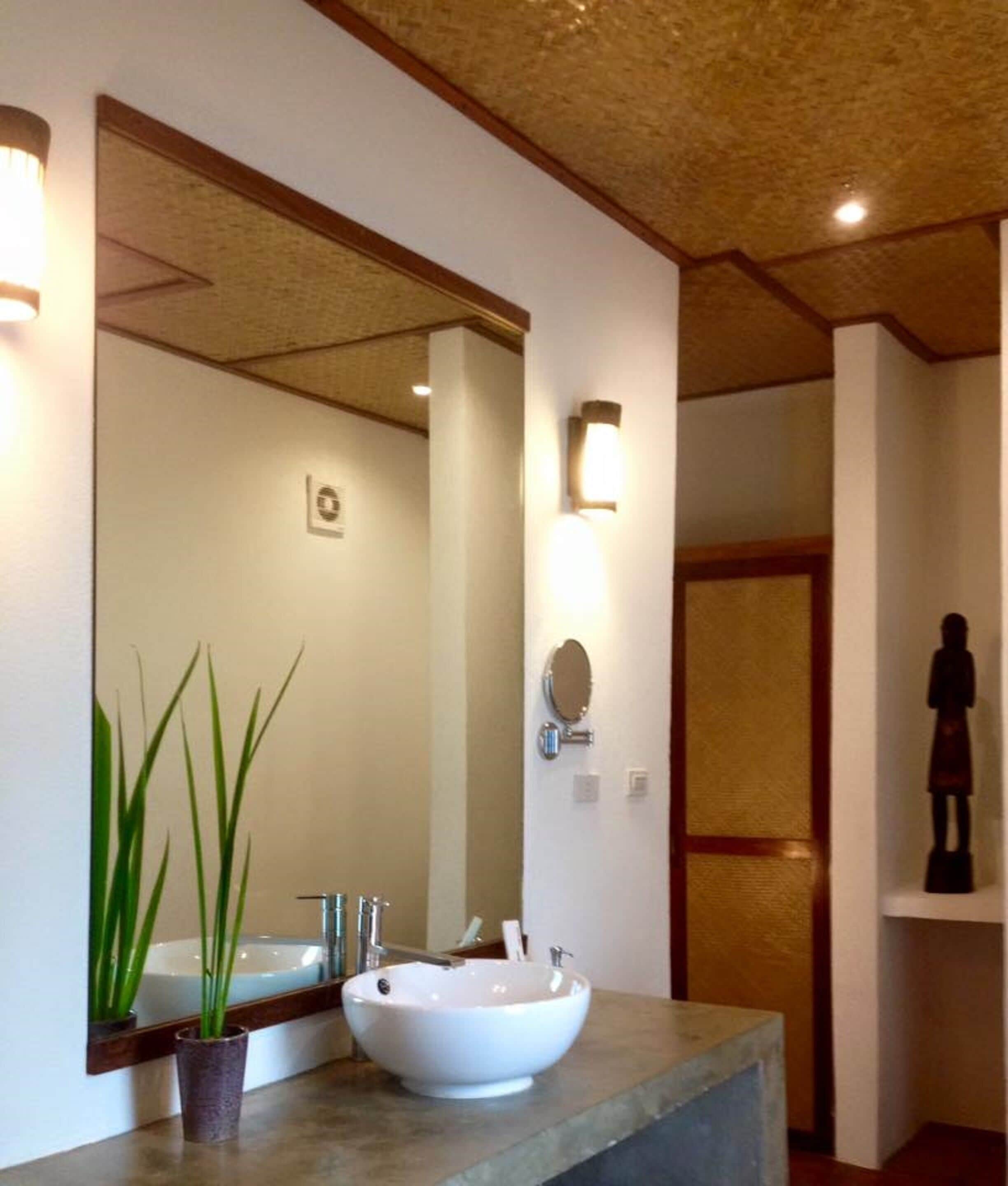 A bathroom with a large mirror, a white sink, and a potted plant.