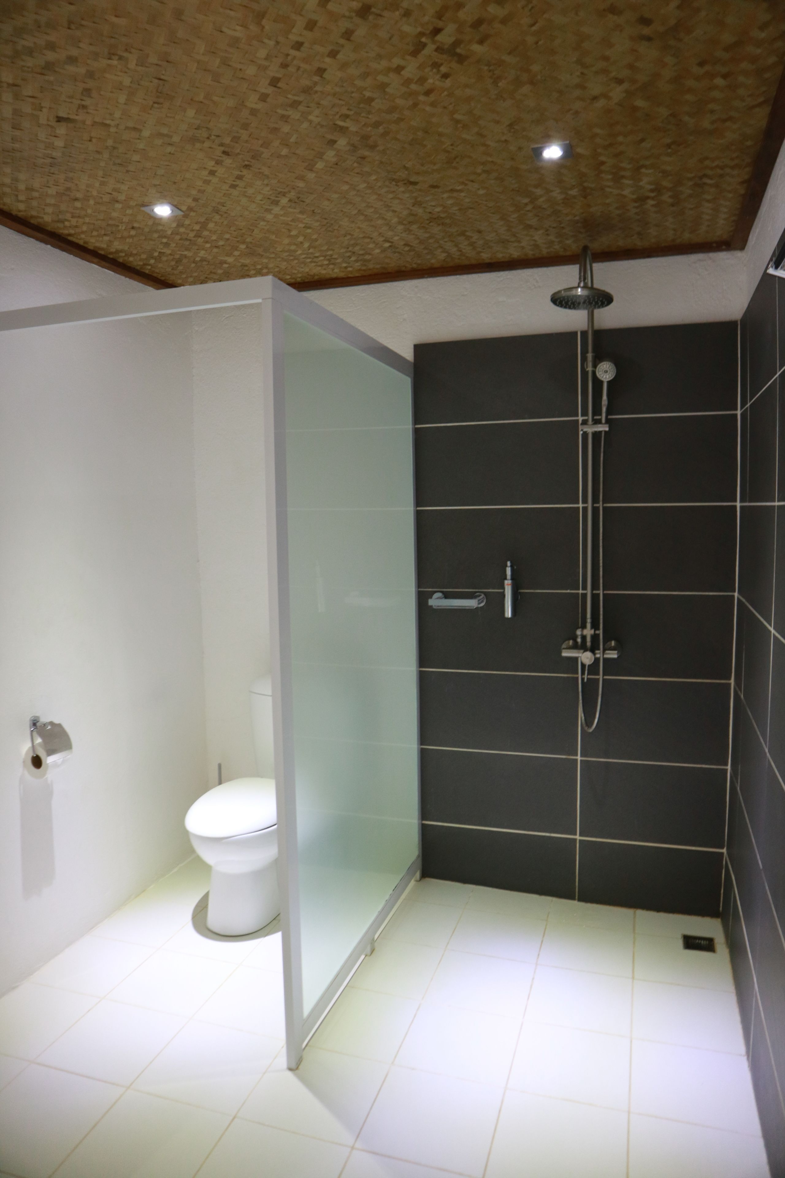 deluxe villa | bathroom | shower, free toiletries, towels