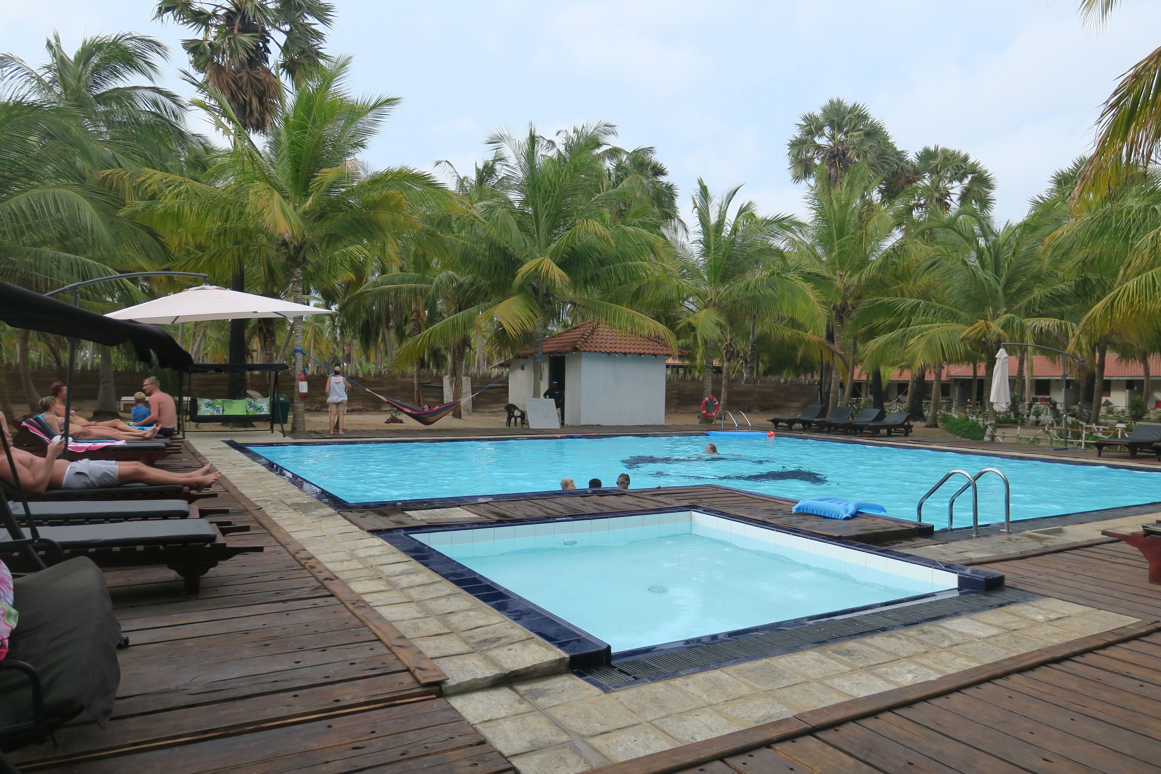 A swimming pool with lounge chairs and umbrellas, surrounded by palm trees.