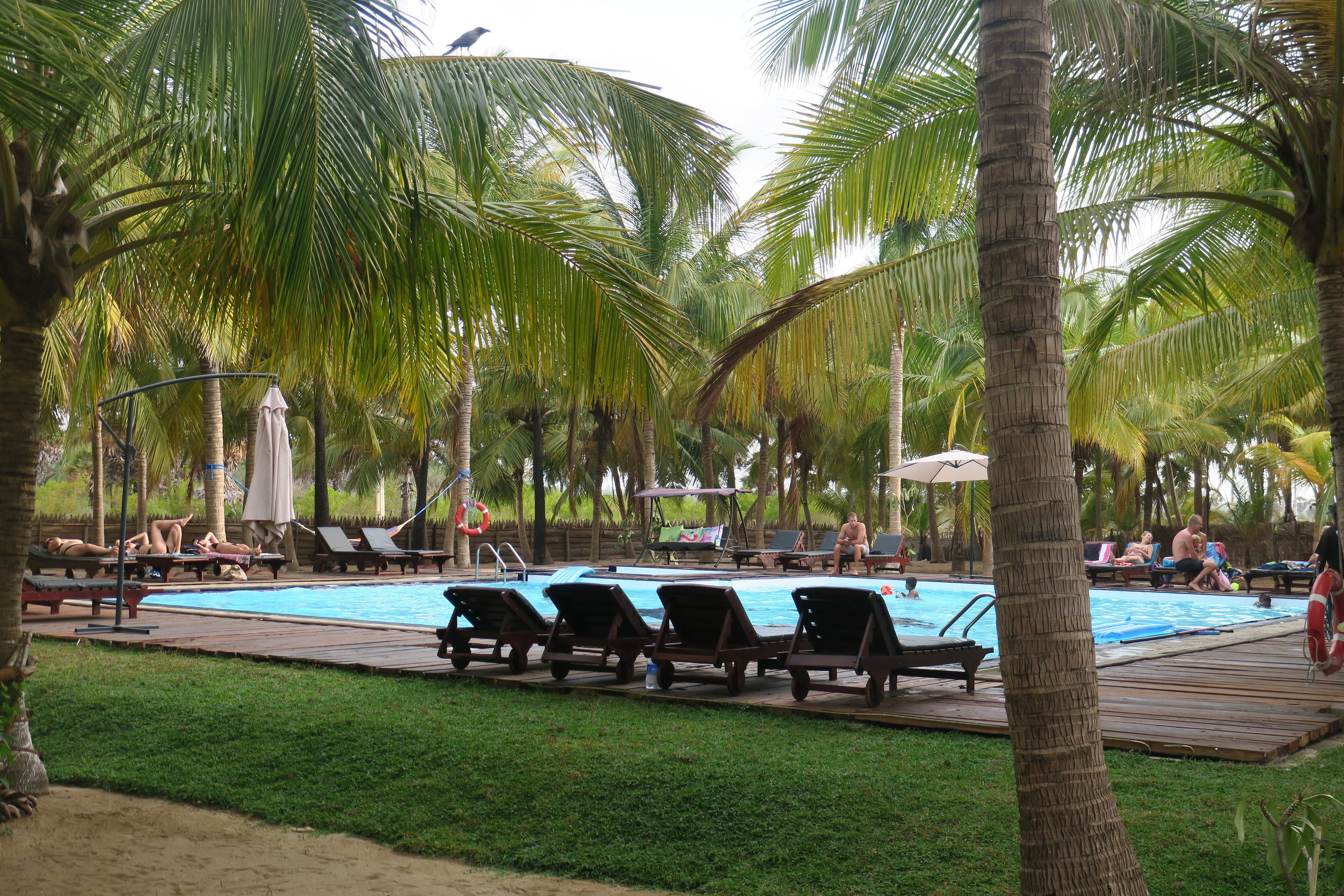 A pool area with lounge chairs and palm trees.
