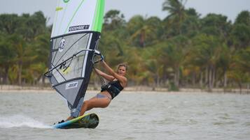 Una persona practicando windsurf en una playa con palmeras al fondo.
