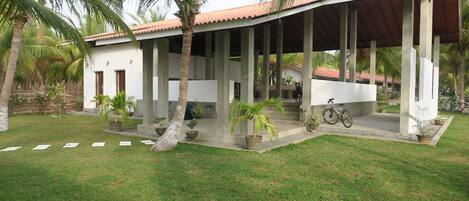 A covered outdoor area with a white building, palm trees, and a bicycle.