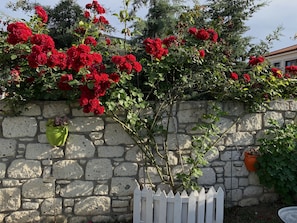 Tuin