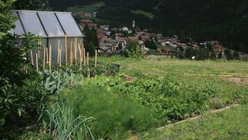 Vistas desde el alojamiento