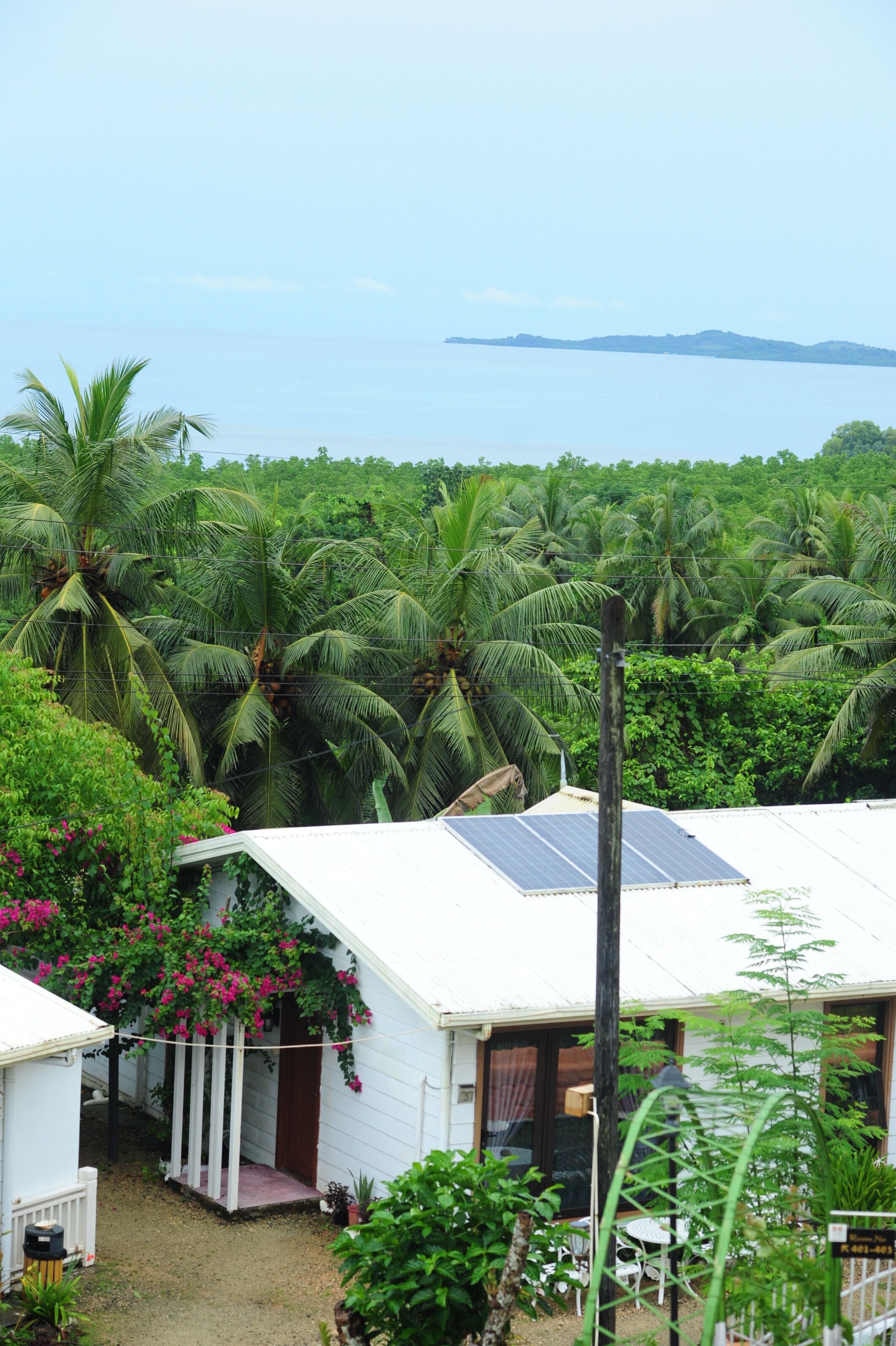 A house with a solar panel, surrounded by lush greenery and palm trees.