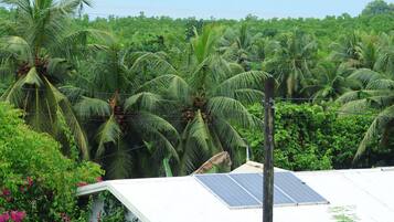 A house with a solar panel, surrounded by lush greenery and palm trees.